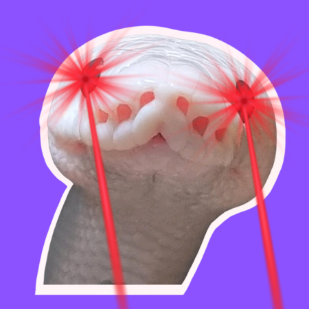 marshmallow_py's tweet image. Bull season is here, and so is $MELLOW.
This isn’t just a memecoin—it’s a fortune magnet.
Early $MELLOW holders = First-class ticket to prosperity. 💰
Don’t fade the luck. Don’t fade the python.
RT if you’re READY TO RIDE!
#MellowThePython