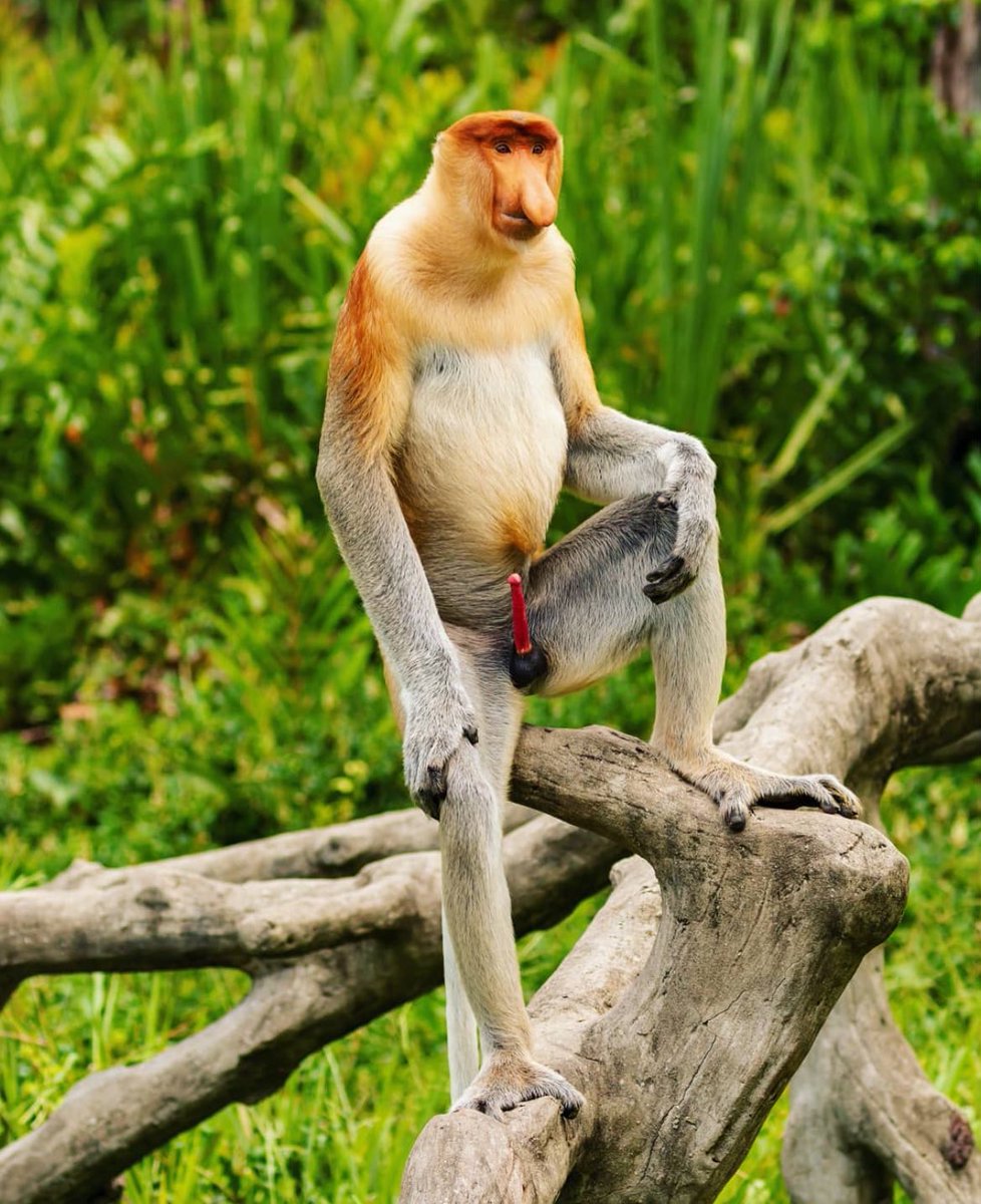 Mrpunk.eth tweet media