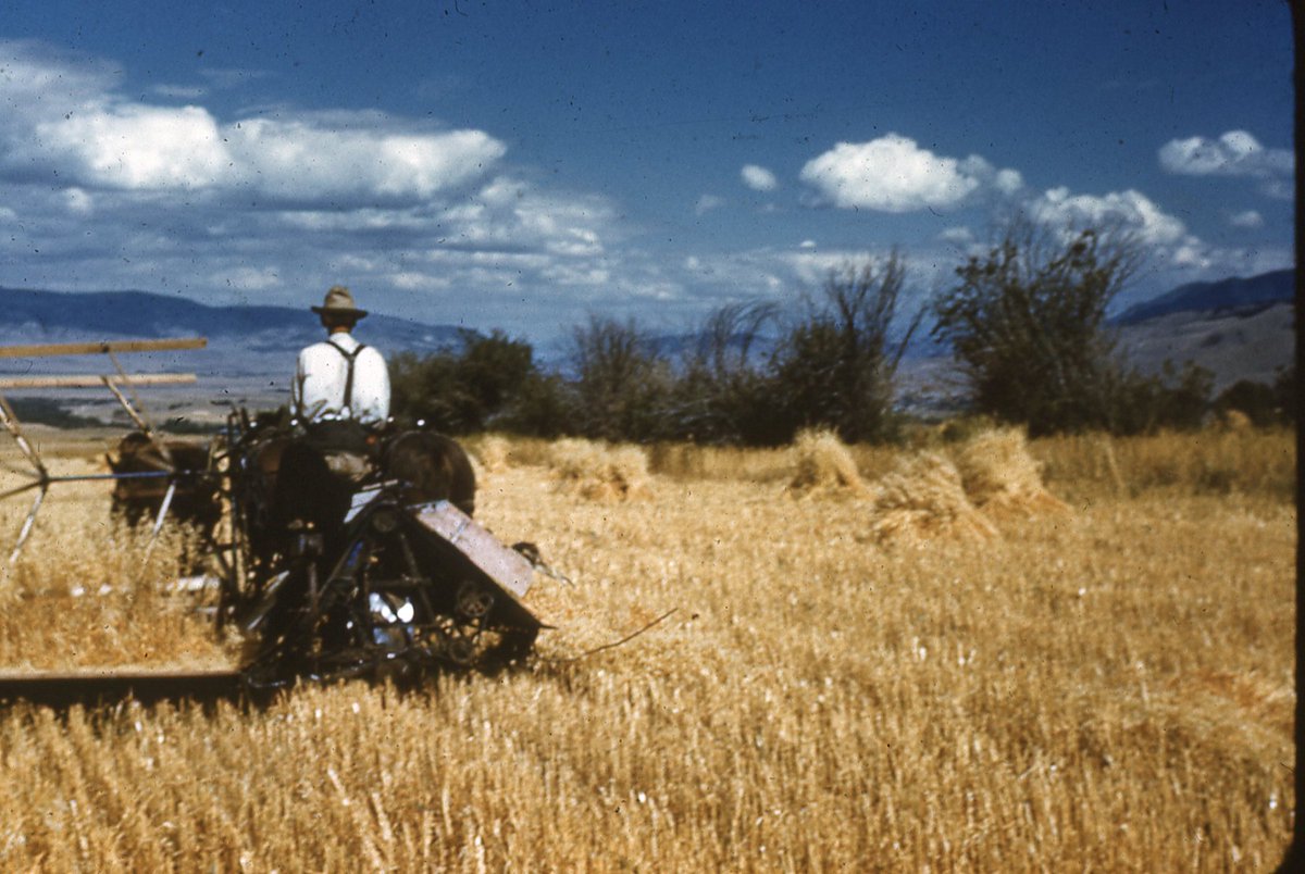 Ranch history from around 1949. Paradise Valley