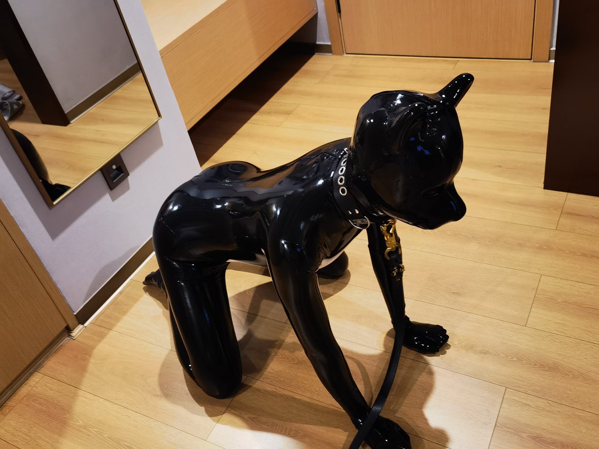 地板太潮了，都长小狗了🐕