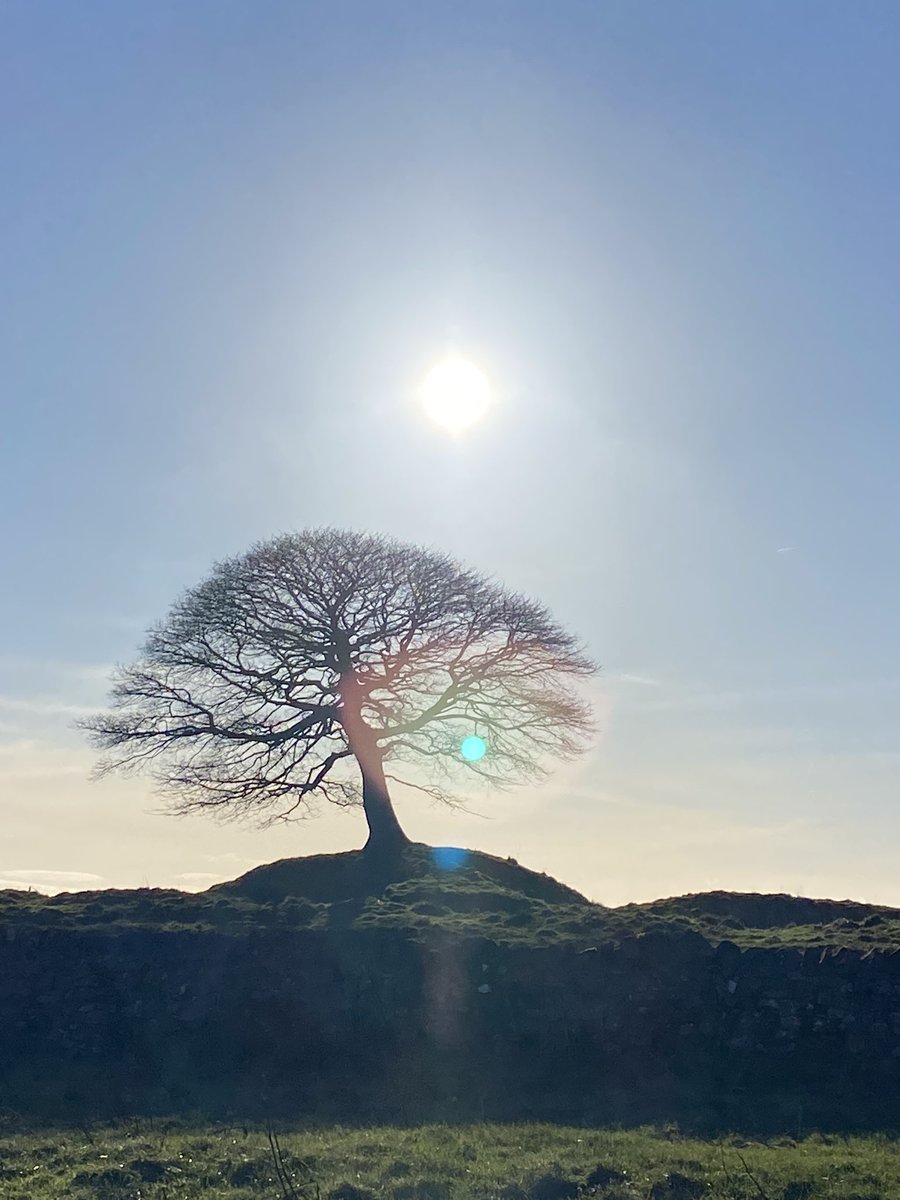 Sam Harris tweet media