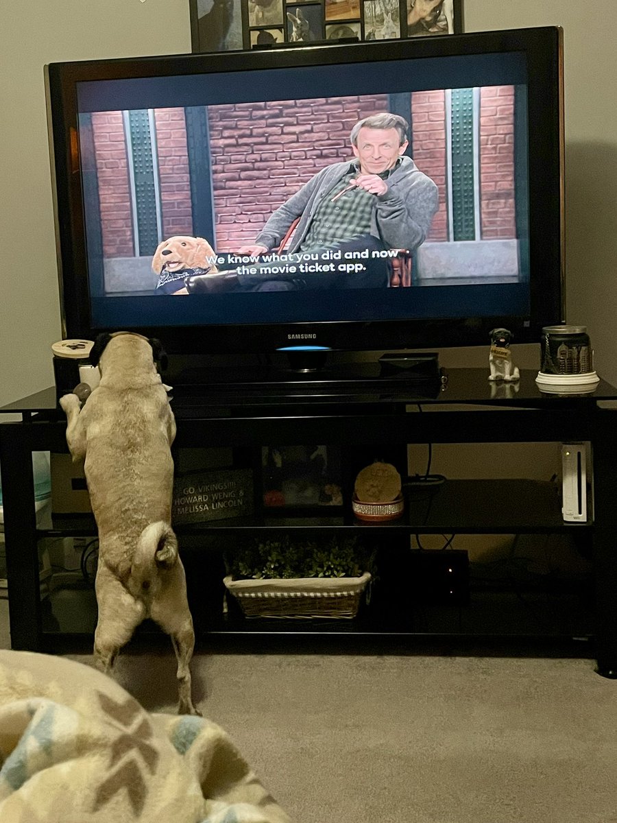 Deisel, Pepper and Skippy tweet media