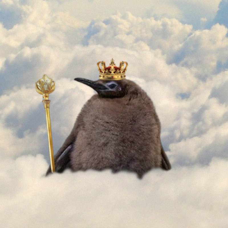 @MavericksCalls It's definitely $PESTO the King 

Send it