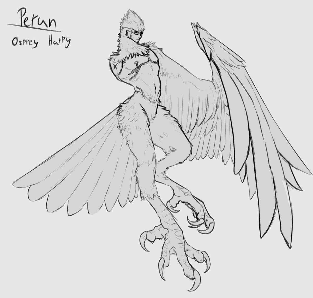 mphelpe666's tweet photo. My feather and wing anatomy isnt still perfect, but its hella more servicable than the last time i drew more detailed harpy https://t.co/CfCaiABEZz