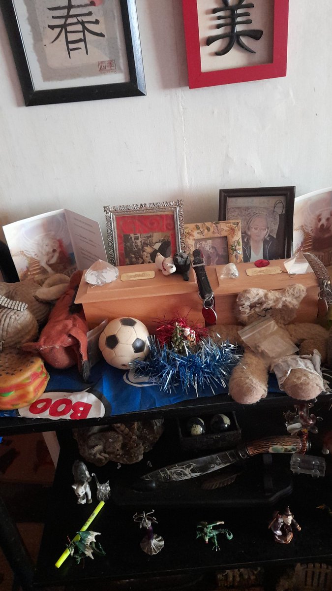 AngieMo03560615's tweet photo. @Farmer_Boycie I do the same with my Dpuds and Bon Bon's caskets...A kiss on their name plates when I get up and when I go to bed!! https://t.co/nN3zy189BB