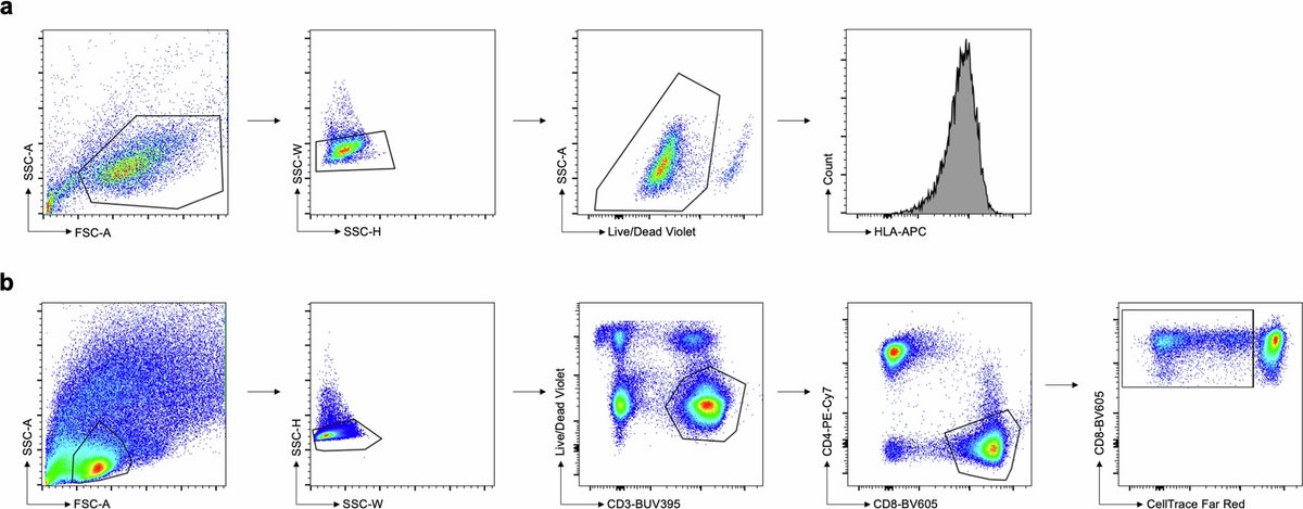 DailyHealthcareAI (@aipulserx) on Twitter photo How can deep learning improve the prediction of CD8+ T cell epitopes to accelerate vaccine development?<a href="/AIHealthMIT/">MIT Jameel Clinic for AI & Health</a> <a href="/NatMachIntell/">Nature Machine Intelligence</a>
"Deep learning enhances the prediction of HLA class I-presented CD8+ T cell epitopes in foreign pathogens"
• A major challenge in T cell vaccine How can deep learning improve the prediction of CD8+ T cell epitopes to accelerate vaccine development?<a href="/AIHealthMIT/">MIT Jameel Clinic for AI & Health</a> <a href="/NatMachIntell/">Nature Machine Intelligence</a>
"Deep learning enhances the prediction of HLA class I-presented CD8+ T cell epitopes in foreign pathogens"
• A major challenge in T cell vaccine