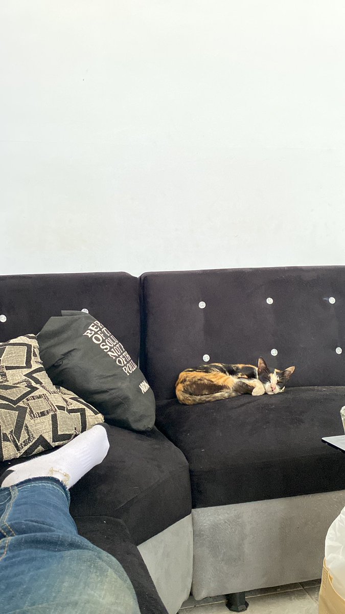 jordyllo's tweet photo. Day 5 
Nda tau muncul dari mana tapi 3 har ini ada terus disampingku tidur. Walaupun sebelumnya da sudah kuca ayamku 2 potong pas sa tidur,  sebut sj loreng 🐈 https://t.co/lYJhvRyaEP
