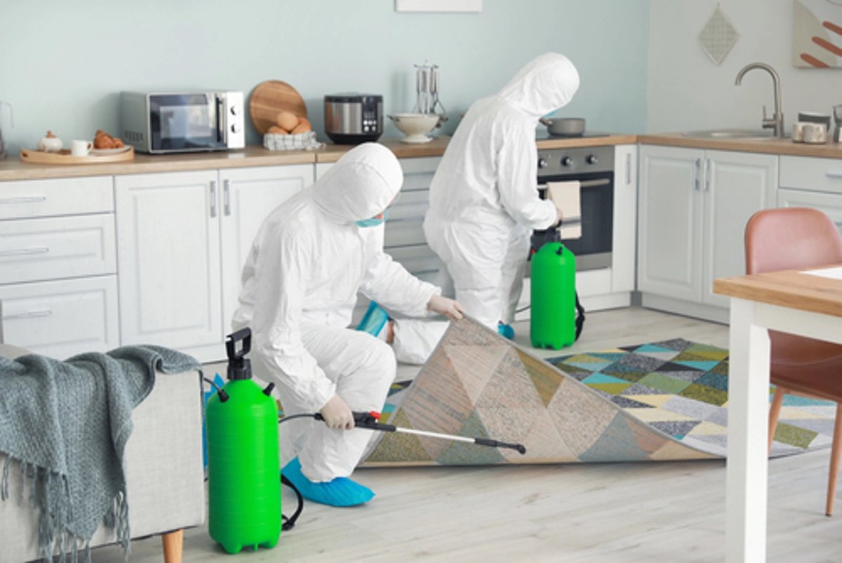 VisaliaOf's tweet photo. ✨ Specialty Cleaning, All Year Long! ✨ From deep cleans to specialty services, Servpro’s here to help your home shine. Start January with a sparkle! 🧼🏠 #ServproSpecialtyCleaning #SpotlessStart #CleanLiving https://t.co/8pqV6AVkJQ