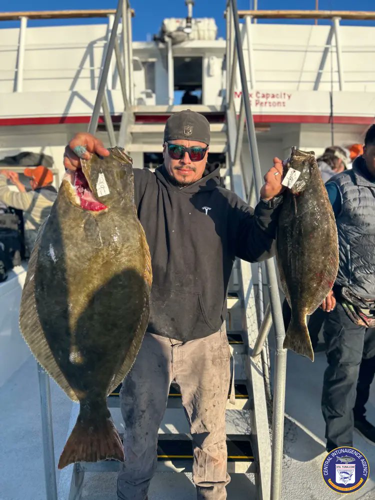 976tuna's tweet photo. Native Sun Wrap-up Report, Good Times, Good Fishing! Wed Jan 29, 2025 https://t.co/ihRWOoUzDX #nativesun #sanpedro22ndstreetsportfishing #halibut #fish #fishing #fishingtrip #oceanfishing #socalfishing #fishingtrip #goodtimes #livebait #saltlife #saltwater #tasty https://t.co/pFwGroCJ2n