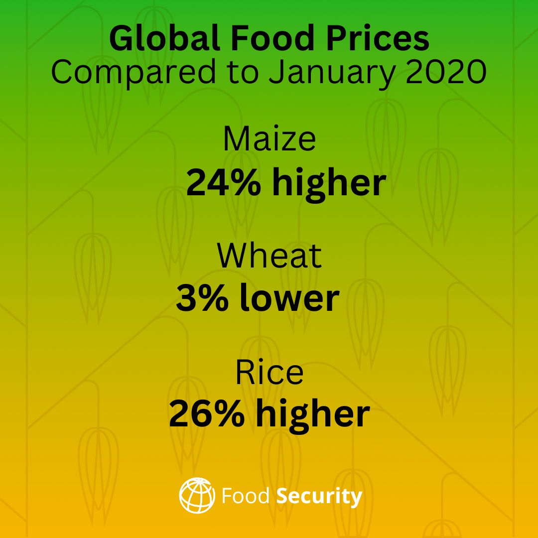 WorldBankGroup's tweet photo. Most low-income countries, and 7.4% high-income countries, are still experiencing high food price inflation.

Download our January #FoodSecurity Update: https://t.co/7p22CMXhzY https://t.co/f7tgeNbLUj