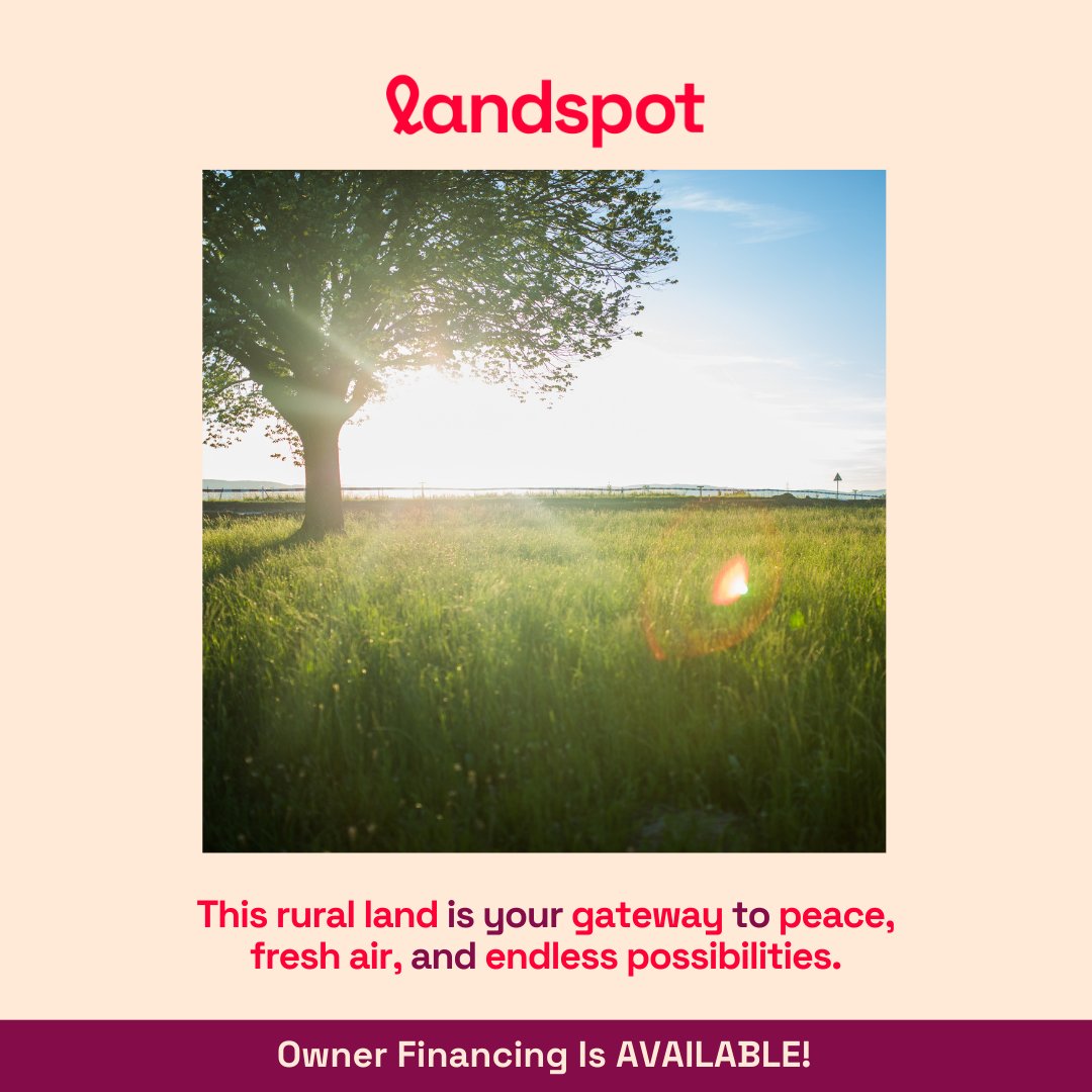 landspot_com's tweet photo. 🌾 Breathe in the Tranquility

Step into a world of peace and serenity with this stunning rural land. 🌳✨ https://t.co/wD0v2VoPsq