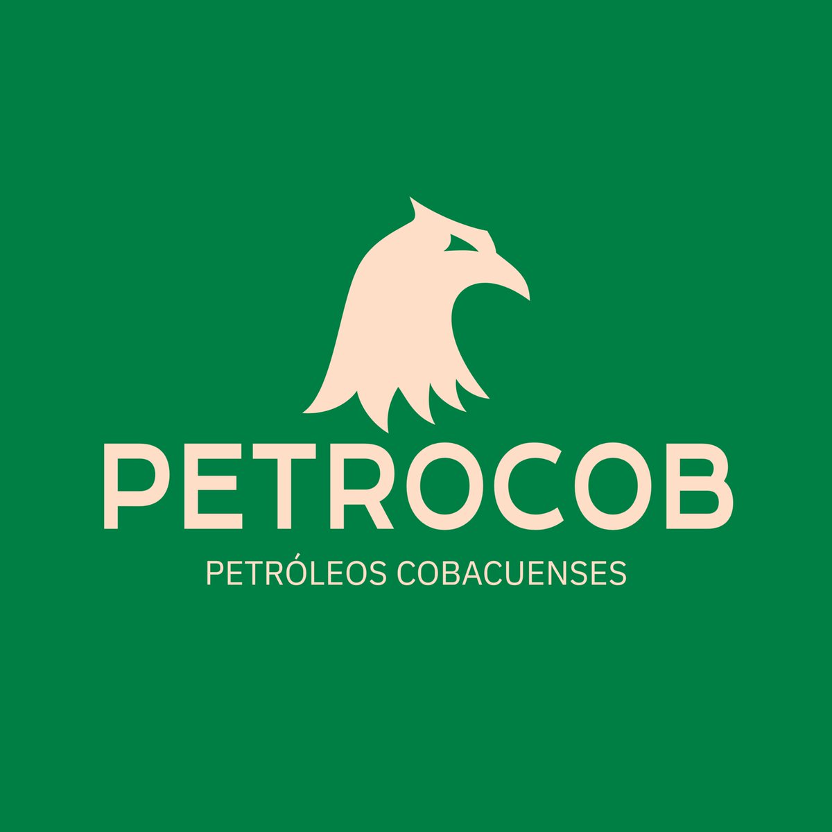 Cobacu_Rep's tweet photo. Se da la inauguración de PETROCOB, finalmente somos un país Petrolero 💚🛢️ https://t.co/SYbctj9LVb