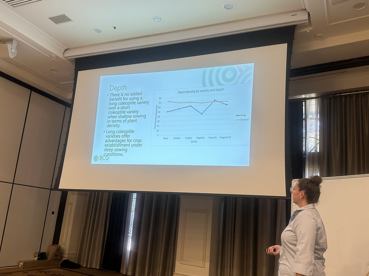 Greg Rebetzke (@rebetzke_0) on Twitter photo Excellent presentations on 2024 deep sowing responses for the long coleoptile wheats from Corinne Celeste <a href="/UniMelb/">University of Melbourne</a> and Ashlee Tierney <a href="/BCG_Birchip/">Birchip Cropping Group (BCG)</a> at the <a href="/theGRDC/">GRDC</a> long coleoptile worship in Adelaide. Seeder setup, fertiliser, press wheel pressure, soil moisture discussed Excellent presentations on 2024 deep sowing responses for the long coleoptile wheats from Corinne Celeste <a href="/UniMelb/">University of Melbourne</a> and Ashlee Tierney <a href="/BCG_Birchip/">Birchip Cropping Group (BCG)</a> at the <a href="/theGRDC/">GRDC</a> long coleoptile worship in Adelaide. Seeder setup, fertiliser, press wheel pressure, soil moisture discussed