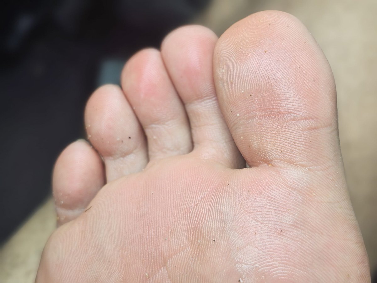 GiganticFeets's tweet photo. Press your face the gap between my toes... Inhale the sweaty foot smell... and thank me for the privilege 😈 https://t.co/1kW971jViz
