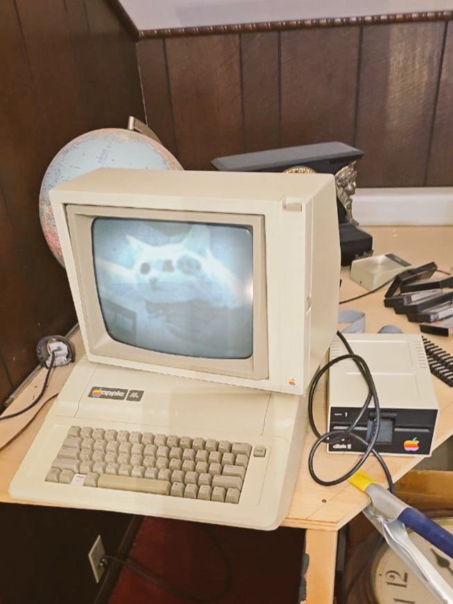 Nobiko Coin のびこコイン tweet media