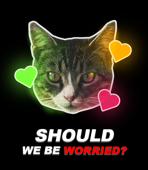 cleoemo's tweet image. 🔔Cat Influencer CLEOEMO replies with concerning cryptic message on Discord after mysterious face is spotted in the cat house. 😲🤯