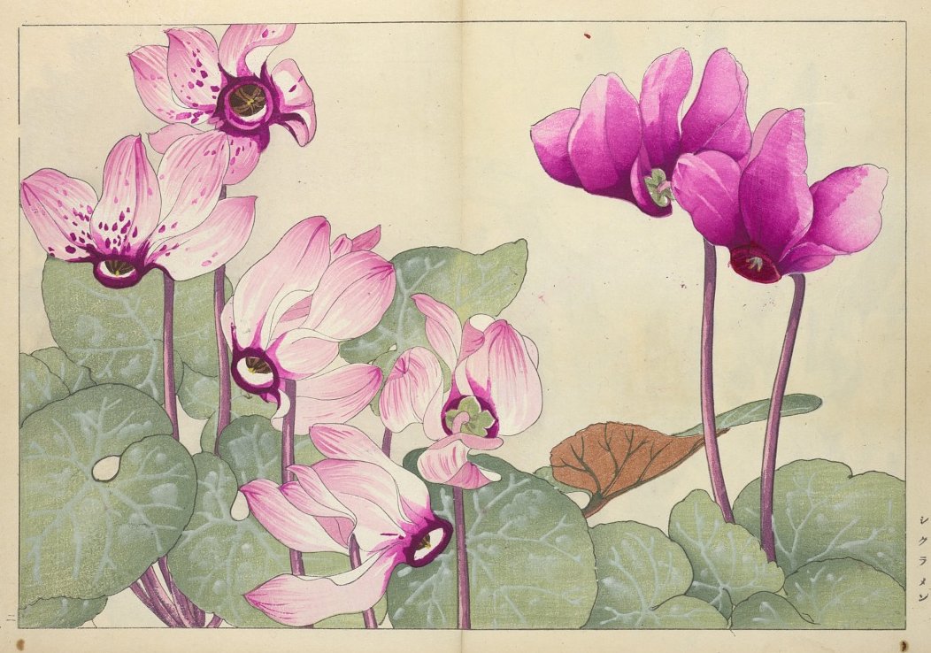 Tanigami Kōnan, Seiyō sōka zufu, 1917