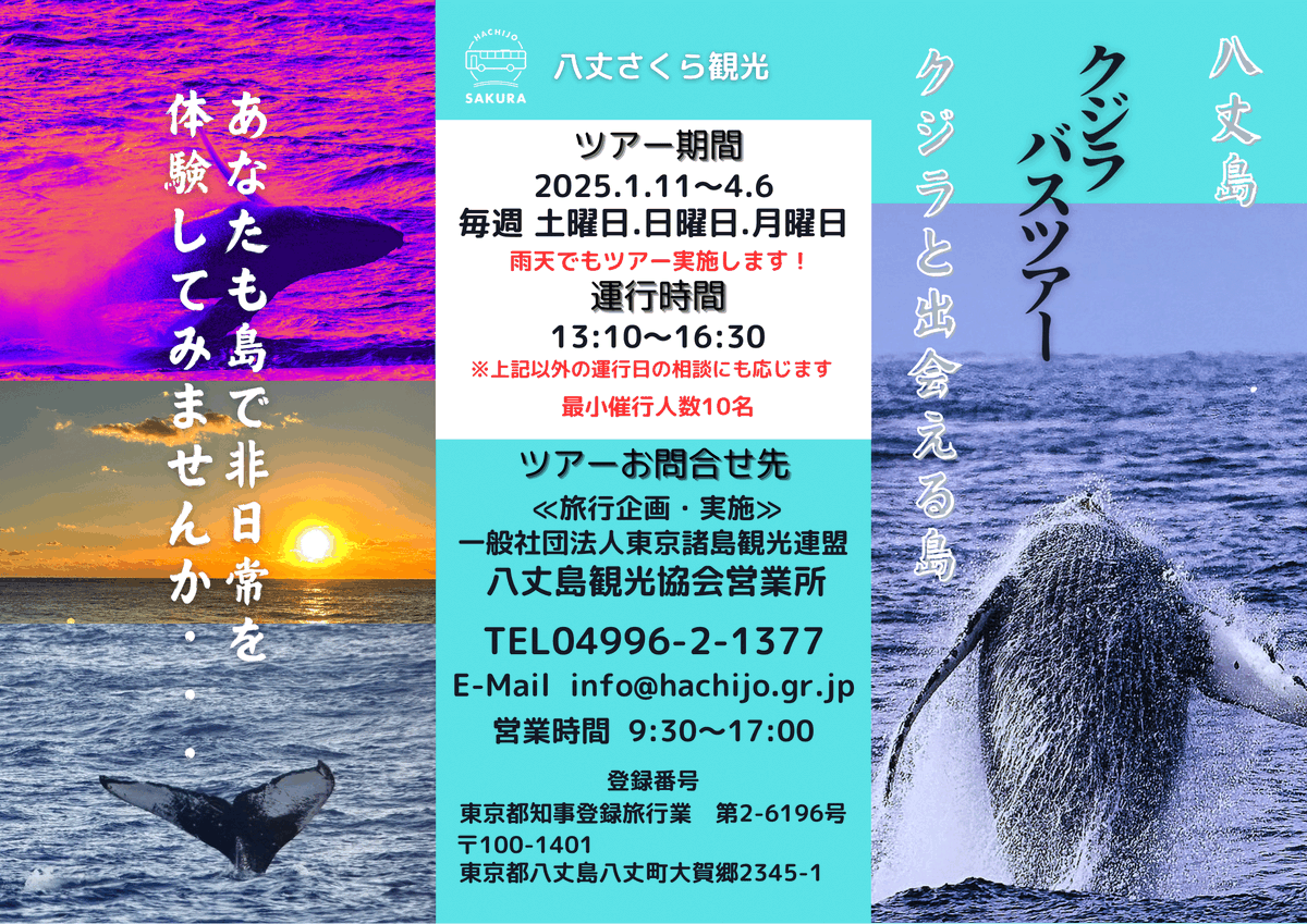 ホエールウォッチング陸上ツアー「八丈クジラバスツアー」は、2/3(月