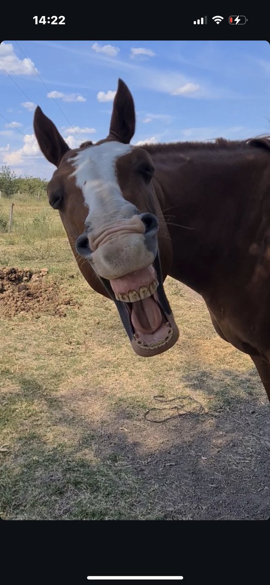 Mi ex: Voy a cambiar 
Yo …..