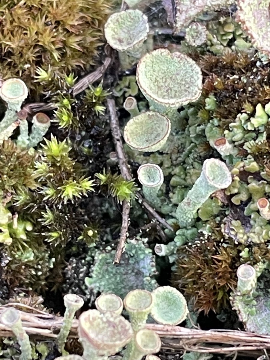 RichardPalfre17's tweet image. #WhimsyWednesday