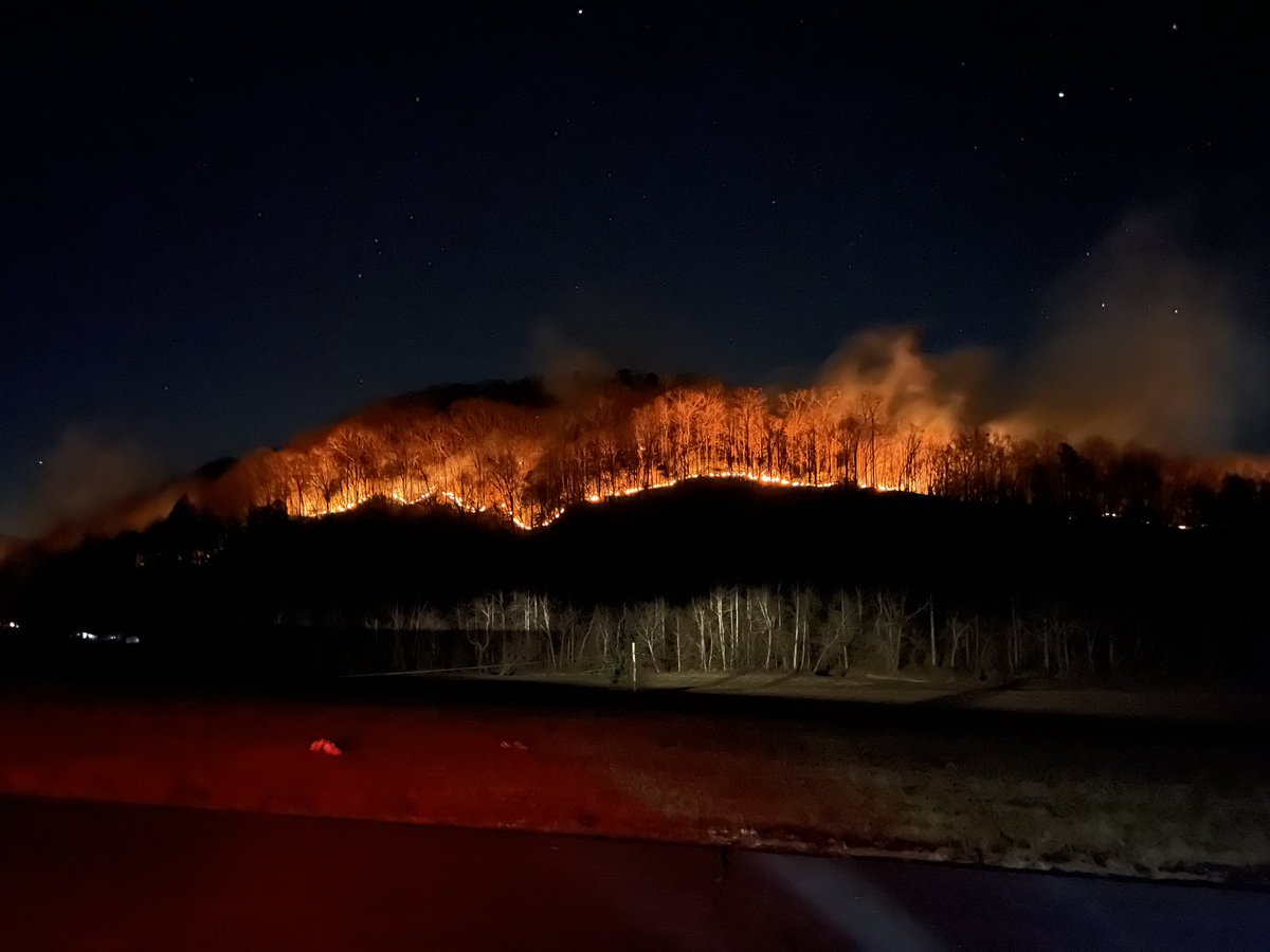 Montana Eck tweet media