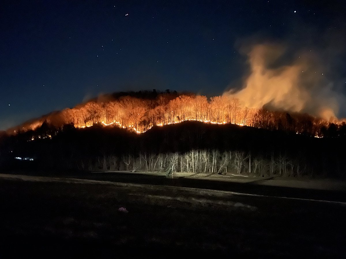 Montana Eck tweet media