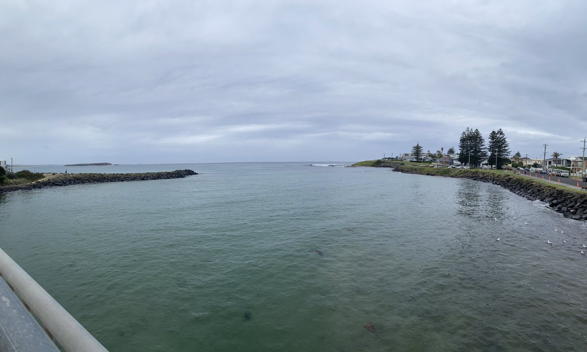 p_terg's tweet image. #Latergram #NotFacebook 2/5
 Little Lake, Barrack Point NSW