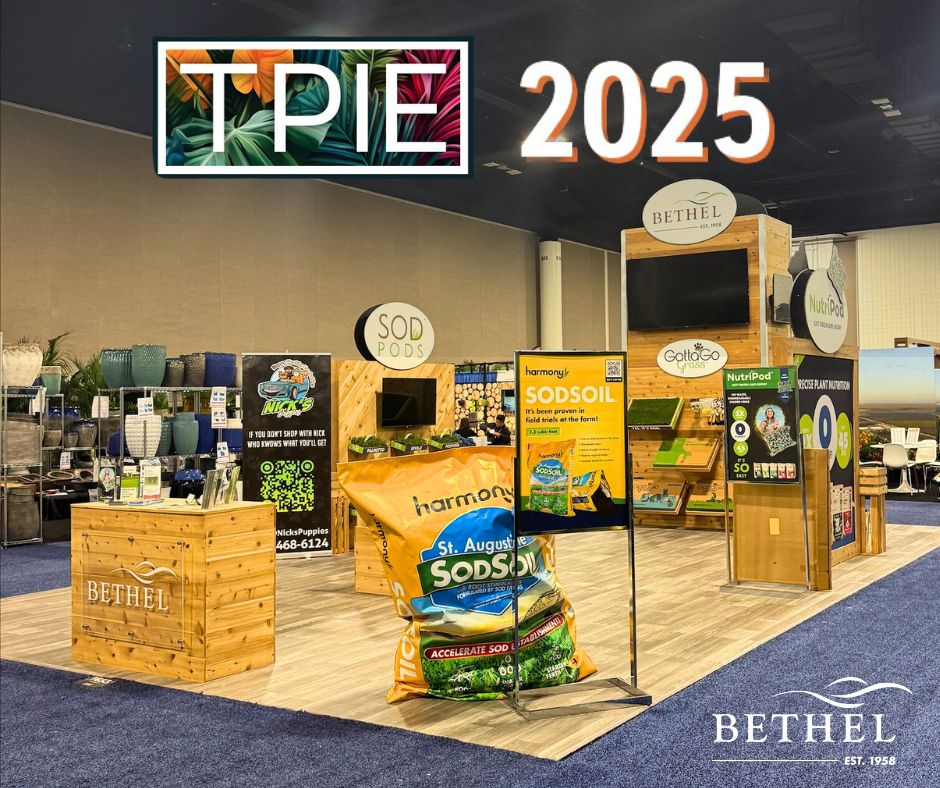 BethelFarms's tweet image. What an incredible TPIE 2025! Thank you to everyone who visited our booth to explore our products. A special shoutout to our dedicated team for their hard work in bringing it all together! 

#TPIE2025 #BethelFarms #LawnSolutions #LawnProduct #Event #Tradeshow #Gardening