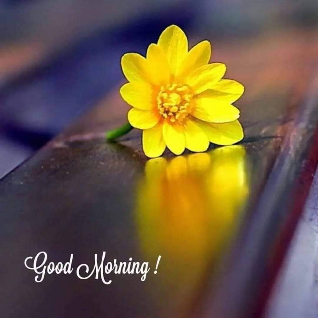 AshutoshMokash2's tweet photo. https://t.co/48ekouPVQQ