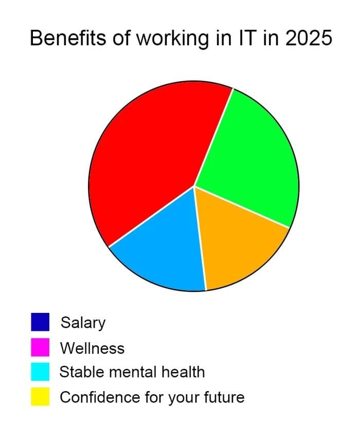 CodingJhames's tweet image. y lo horrible de la búsqueda laboral y entrevistas!