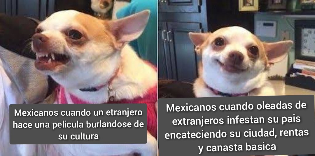 GoatHSlayer's tweet image. #gentrificacion  #EmiliaPérez