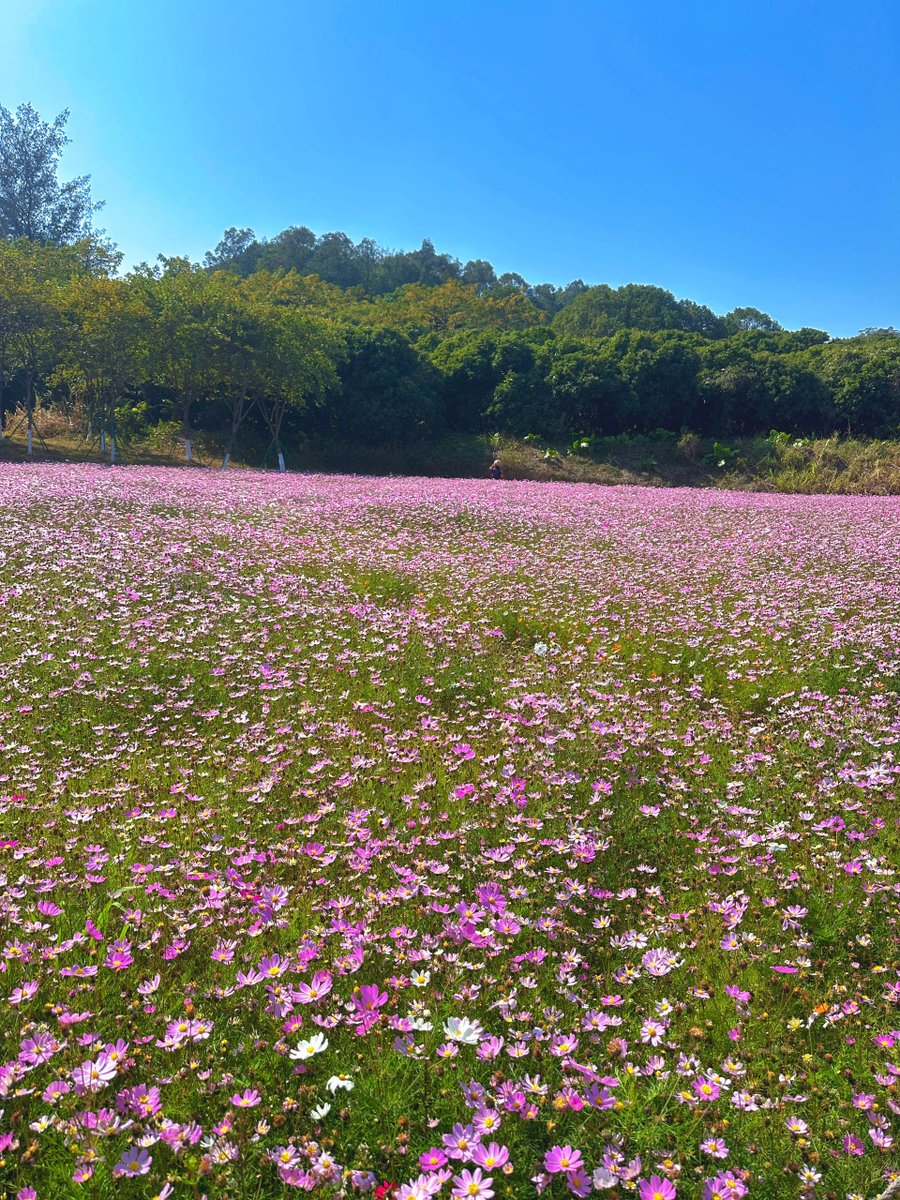 春節はすべてこんなに人の少ない地方を探し当てることができます!市街地の人たちと比べてみました!ここは超気持ちいいです!