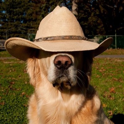 #NewProfilePic the real me.