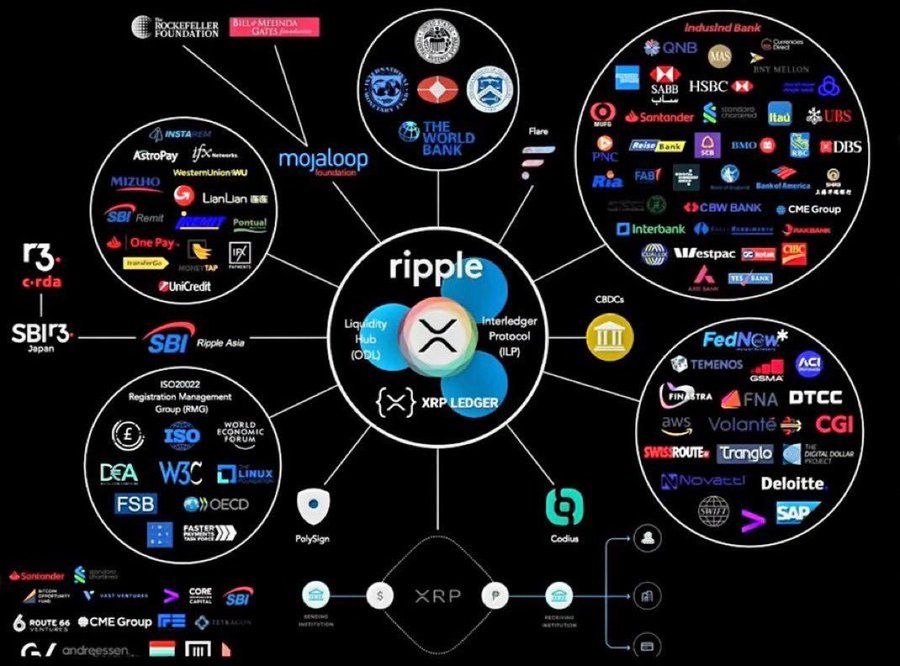 CryptoSensei tweet media
