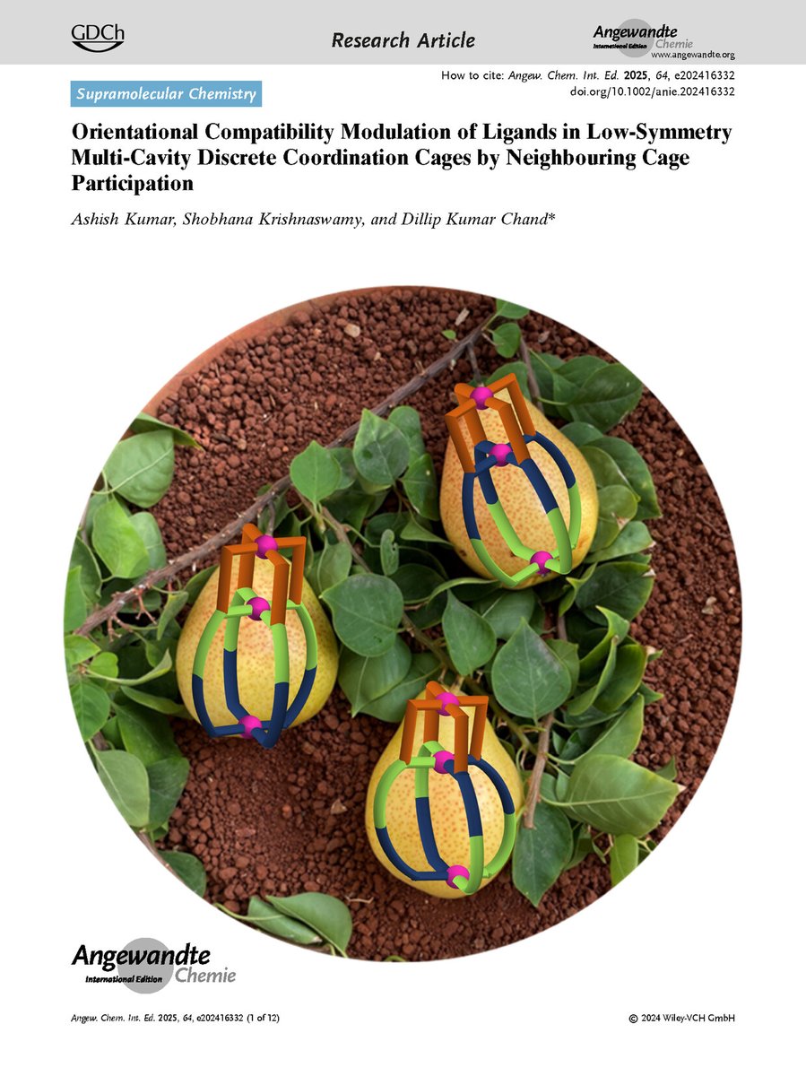 Dillip K Chand (@dillipkchand) on Twitter photo 