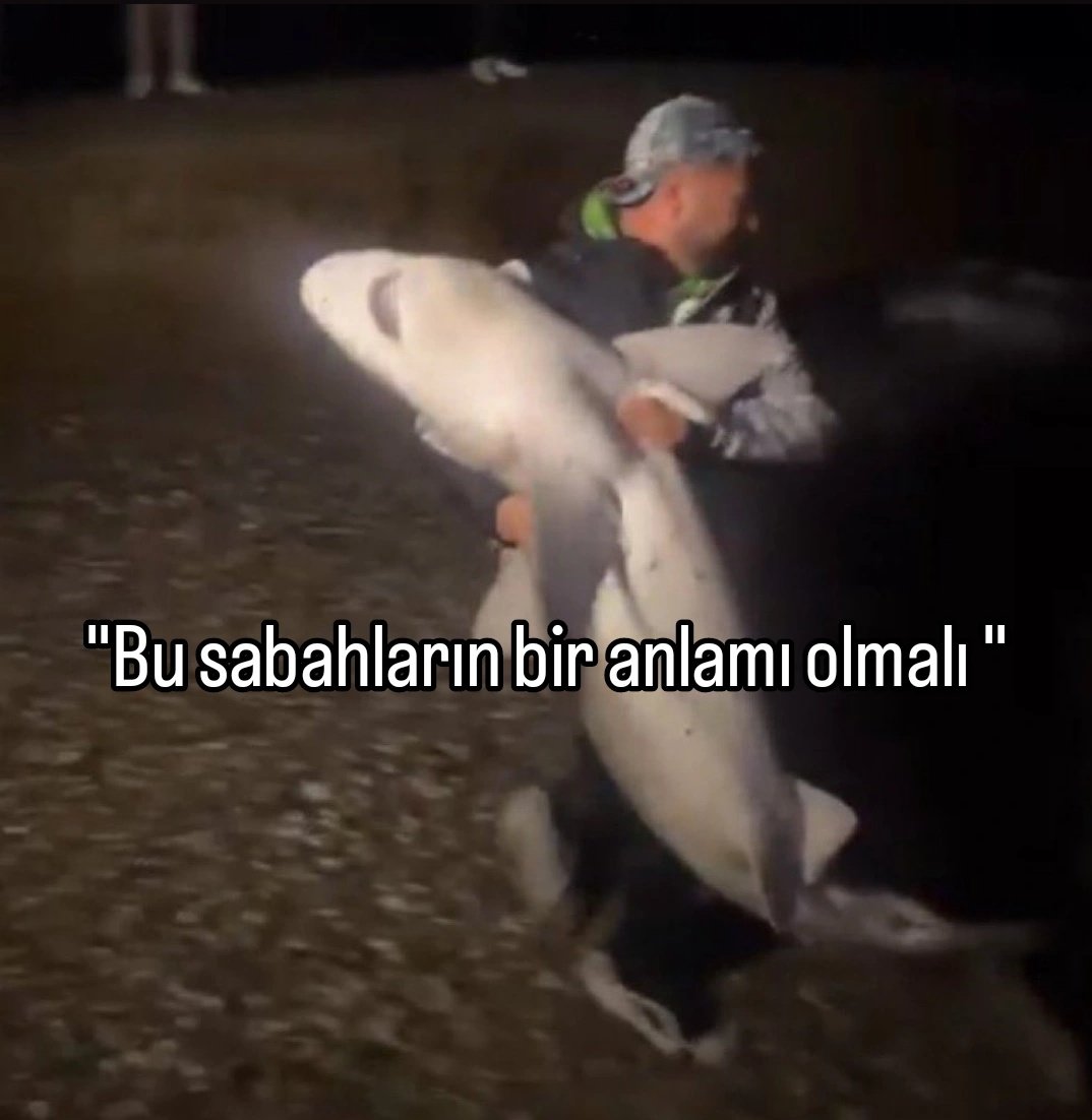 ANLIK (@anlikmod) on Twitter photo 