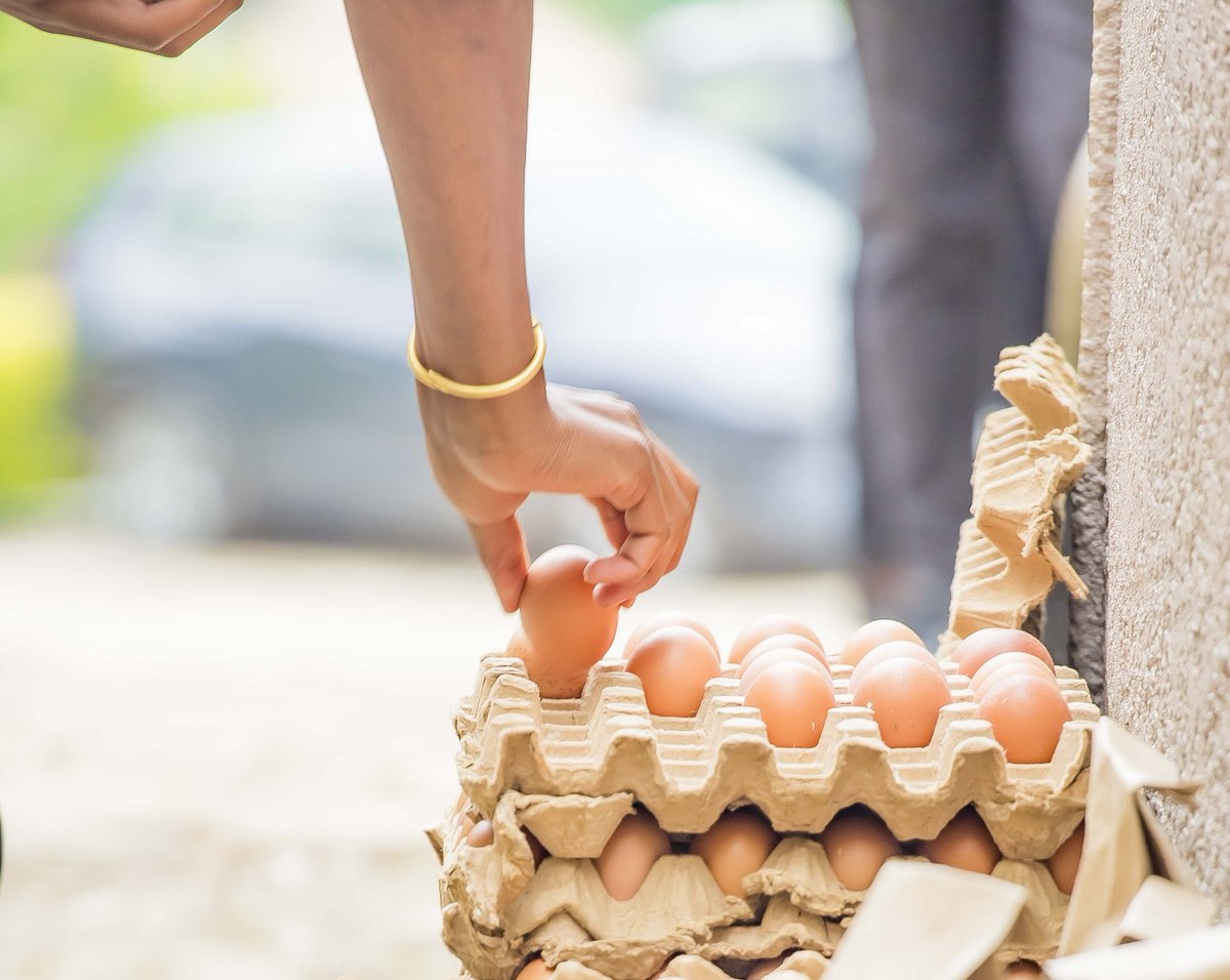 hezainitiatives's tweet image. Yesterday, in partnership with @RBCRwanda, @Elekta_Fdn, @acreol_org, and @KarongiDistr, we launched the #OneEggADay project! For 3 months, we’ll support women with cancer to overcome the chemotherapy-related nutrition challenges and provide mental health & counseling support.