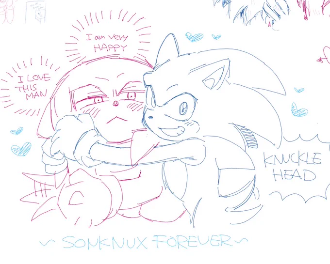😁😁😁 #sonknux 