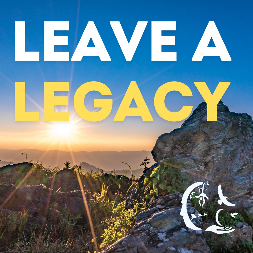 🌱 Leave a legacy of hope. By including us in your estate planning, you can help protect the natural world for generations.

Learn more here: communityconservation.org/plannedgiving/

#plannedgiving #donation #conservation #communityconservation #conservationefforts #legacy