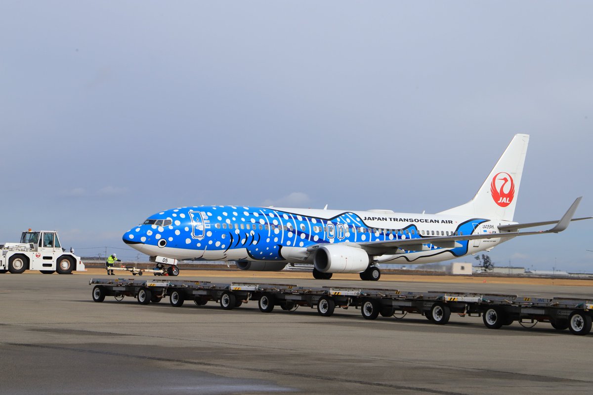 JTAのジンベエジェットが仙台空港にきておりました✨胸元には