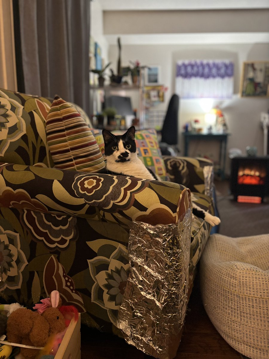 dawn_kimmy_nl's tweet photo. Cats sitting in her chair watching true crime shows with me! 😹❤️🤣

#IDChannel https://t.co/UFj2NjsS25