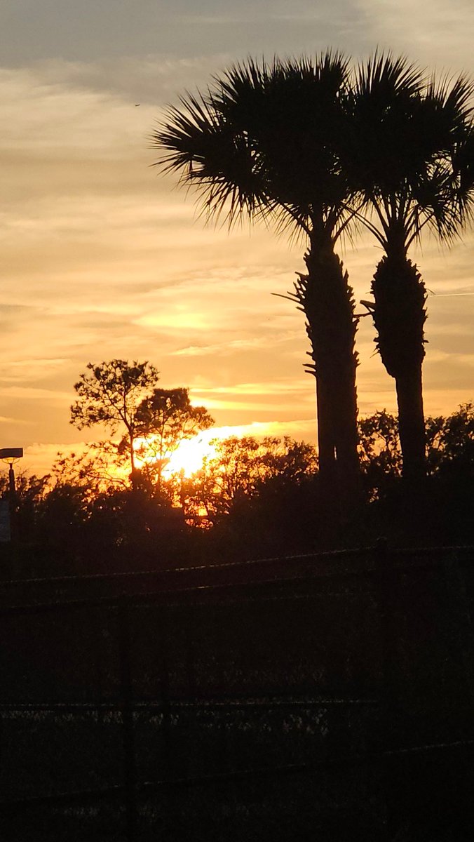 Andrea Parisi tweet media