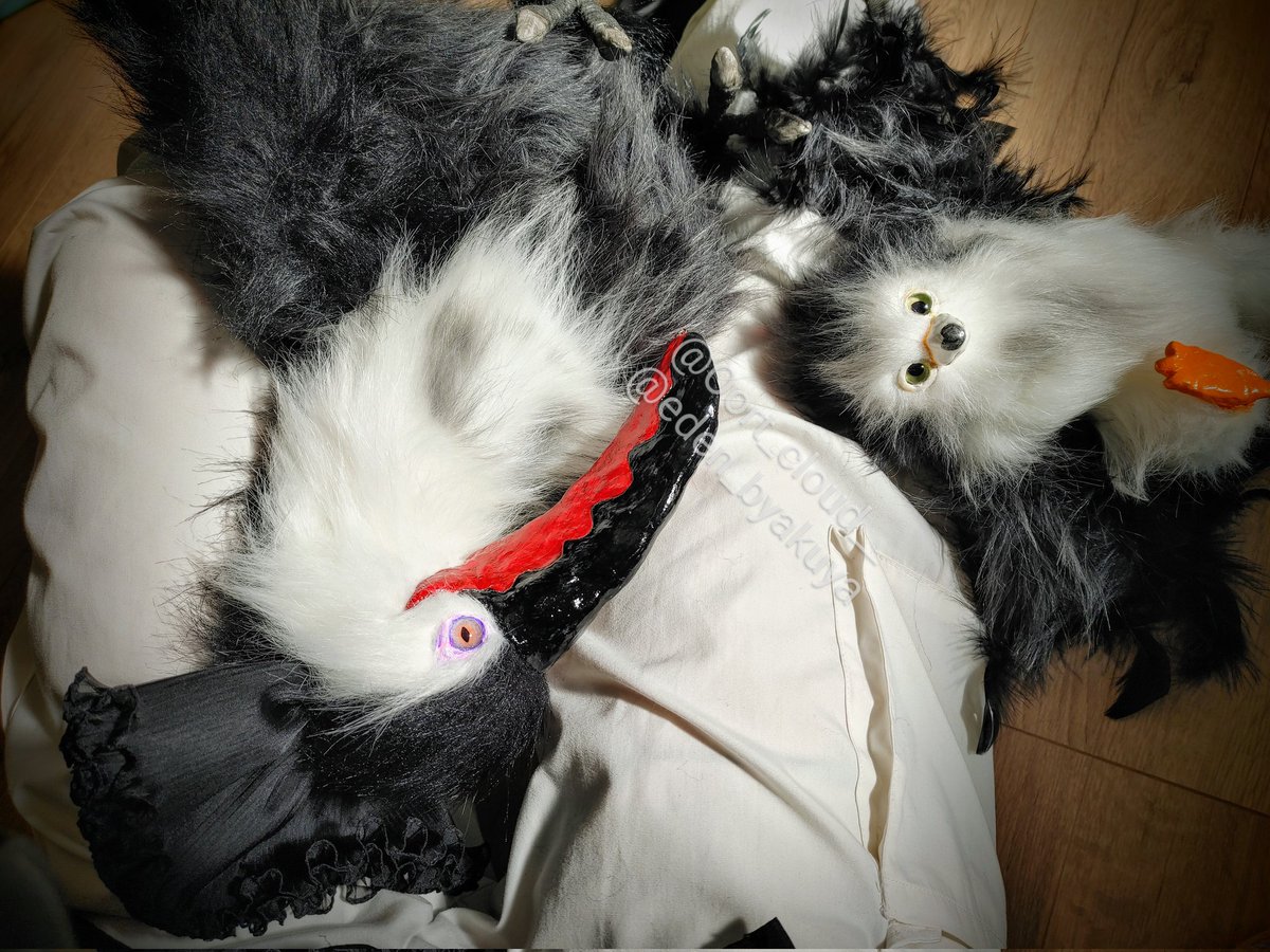 キュウケツキオオハシが夢に出てきたので、沢山可愛がっています🩸💀🧛‍♂️
ベタ慣れになると嘴を握られるのも好きになる。
名前は｢ズィア/ジア｣になりました。
転がってでろんでろんに溶けていく様子とハピの便乗甘え🦅
#アートドール
#toucan
#鳥