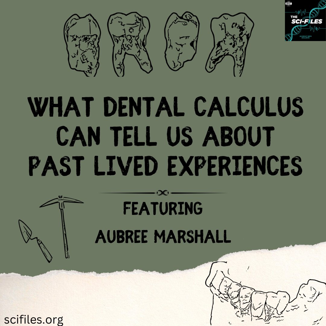 The Sci-Files tweet media