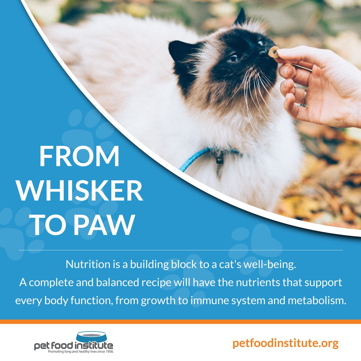 uspetfood's tweet image. During #NationalCatHealthMonth, take time to learn about the nutrients required in complete and balanced #CatFood and the role they play in your cat’s well-being.

➡️ petfoodinstitute.org/cat-nutrition/