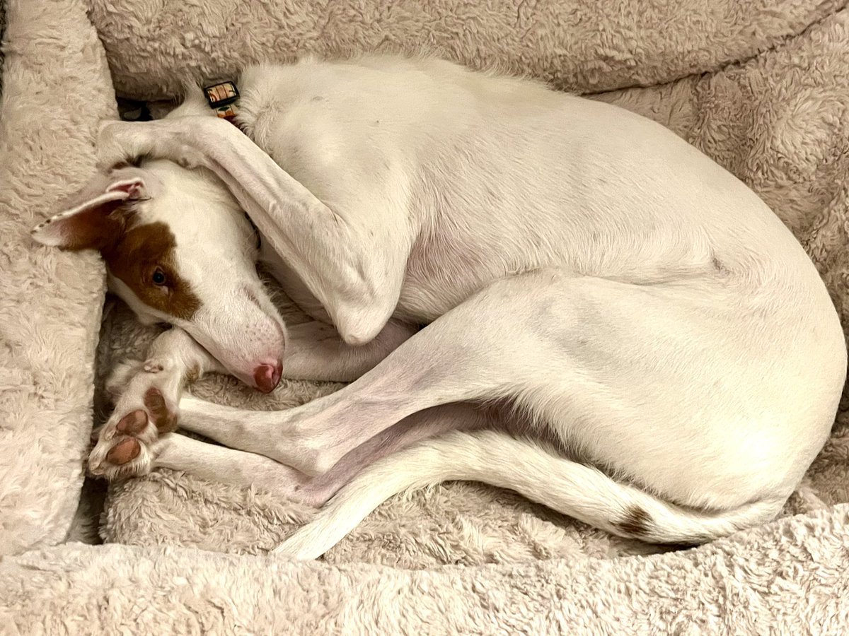 Susan Murray tweet media