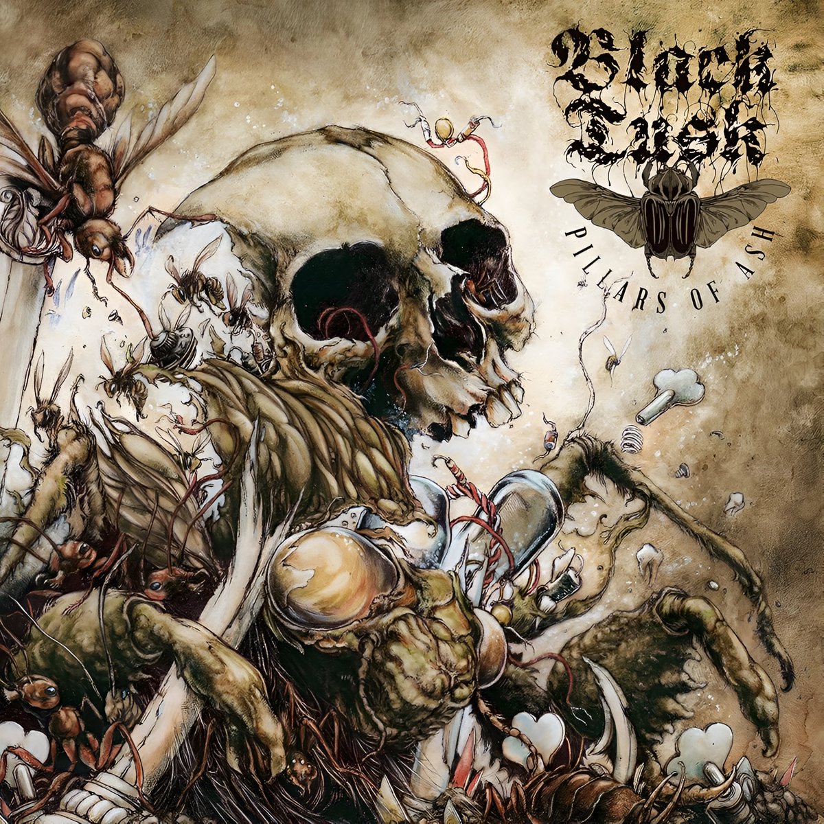 ThisDayInMETAL's tweet photo. Jan 29th 2016 𝐁𝐥𝐚𝐜𝐤 𝐓𝐮𝐬𝐤 released the album “Pillars of Ash” #StillNotWell #BlackTide #Leveling #SludgeMetal
𝐃𝐢𝐝 𝐲𝐨𝐮 𝐤𝐧𝐨𝐰…
This was the band’s final recordings with Jonathan Athon who tragically died in 2014 after a motorcycle accident in his hometown. https://t.co/ZAnXdueJYv