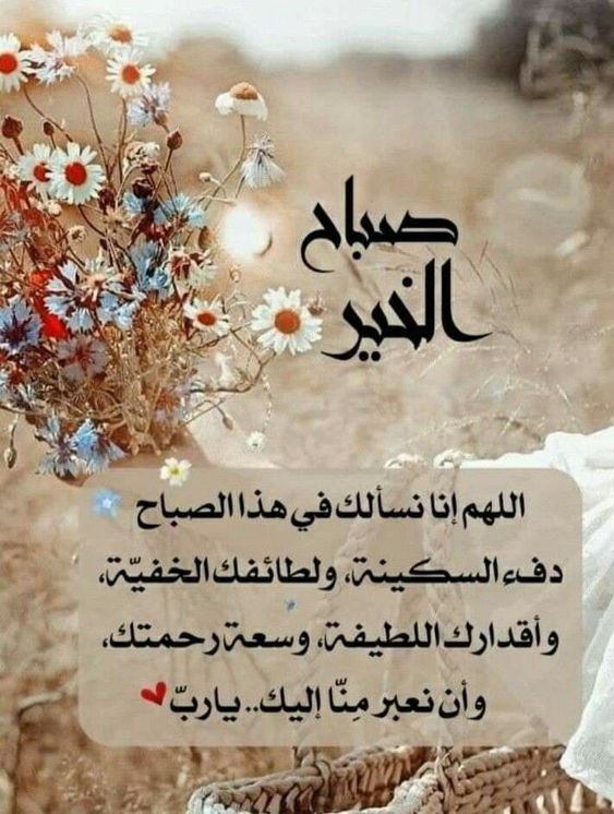 محمد ابو علي 💛💙 (@alhashedi2013) on Twitter photo 