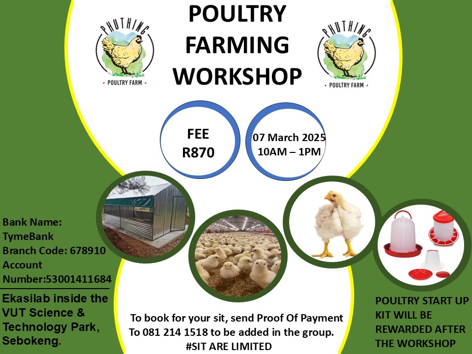 Phuthing Poultry Farm (@molantoa_69) on Twitter photo 
