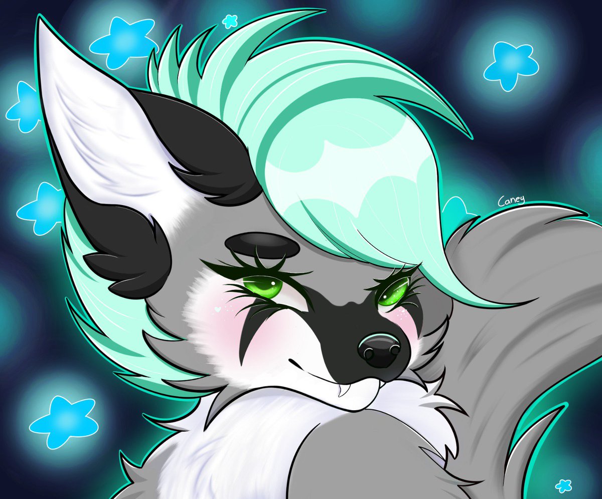 Laney the bat 🦇 tweet media